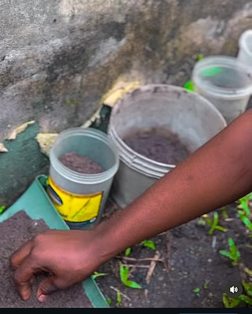 Urban Farming Education