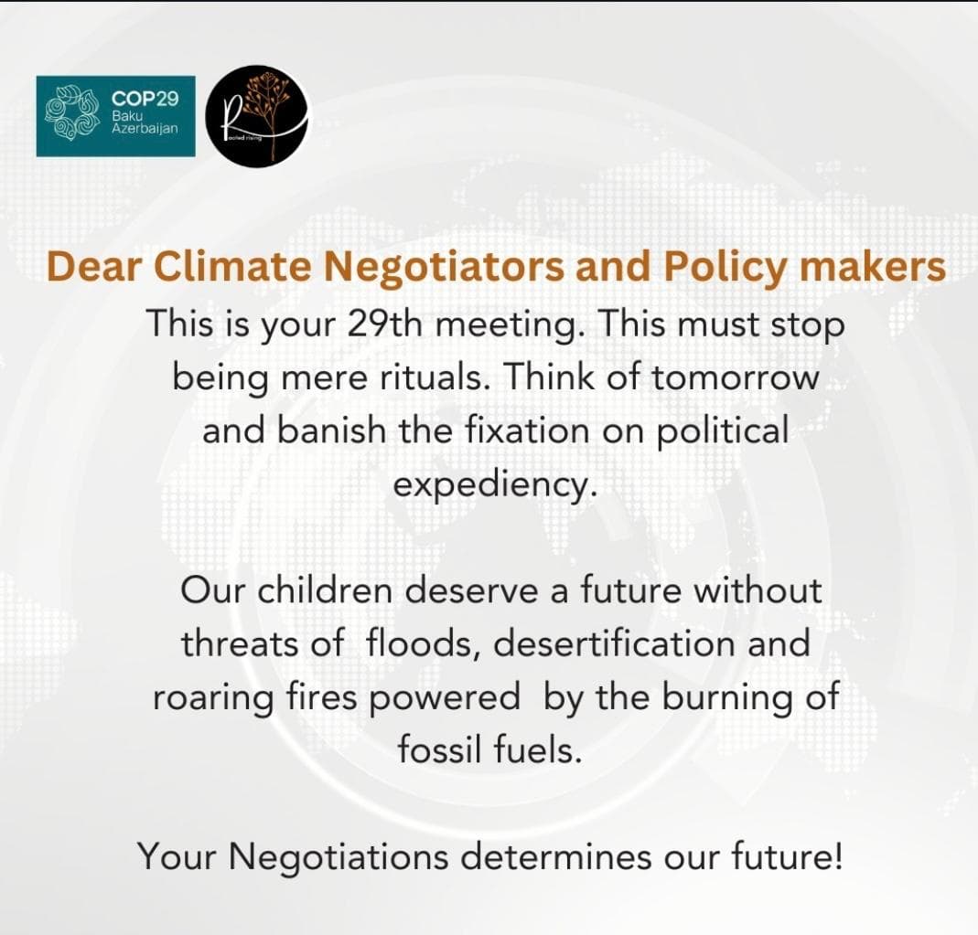 Cop29 Statement